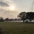 LZG的个人资料头像