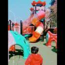babybin头像