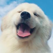 Beliber001的个人资料头像