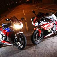 自由骑士李sir头像