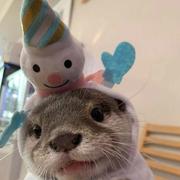 undefined的个人资料头像