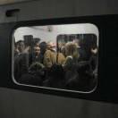 LN11的个人资料头像