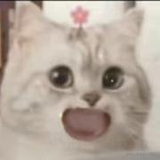 用户8969802986205的个人资料头像