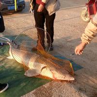 钓鱼的诱惑头像