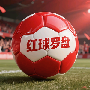 红球罗盘AI体育头像