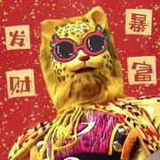 张迎的个人资料头像