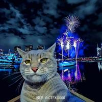 视野德文7J9头像