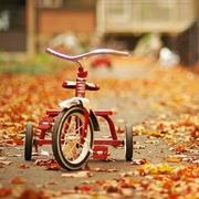 磨叽695的个人资料头像