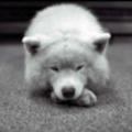 清爽梦想U头像