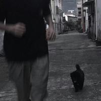 完美原野M31头像