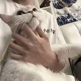 ⁹点³⁰分335头像