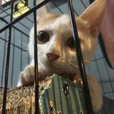 会城低配陈伟霆头像