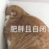 25年单身狗头像
