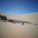 环游世界449头像
