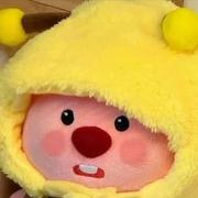 南瓜458的个人资料头像