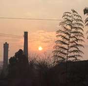 nli的个人资料头像