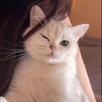 用户5871061496149头像