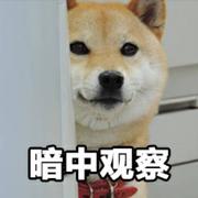 Ta福尔摩汪的个人资料头像