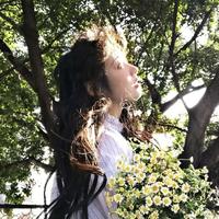 正能量风筝FST头像