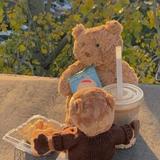 Bear340头像
