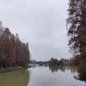 广东华哥野钓头像