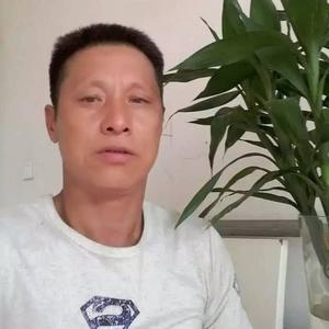 自强不息的逍遥头像