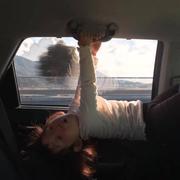 刘火锅的个人资料头像