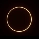 自若饺子好家头像