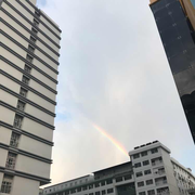 大木老师的个人资料头像