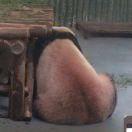 洗白的小星的个人资料头像