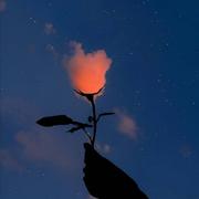 宛丘之上兮的个人资料头像