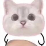 不知名小胖子760头像