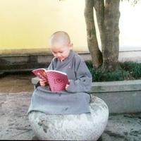 人间冷暖花开花落头像