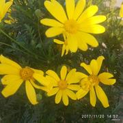 HEXO的个人资料头像