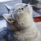 天天同学69176的个人资料头像