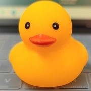 蛙鰓牜鷩的个人资料头像