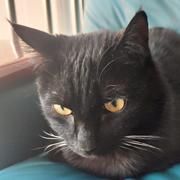 哪位的个人资料头像