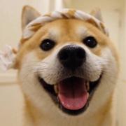 偷偷努力的优乐美的个人资料头像