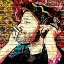 WAN0801的个人资料头像