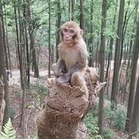 滚犊子z头像