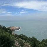 用户1853859920143头像