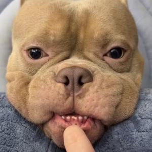 木木木木木木木