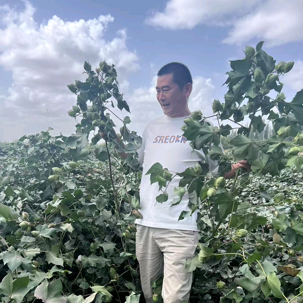 新疆印象之江南头像