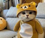 bourne的个人资料头像