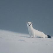 MMHM的个人资料头像