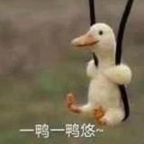 糖小吖头像