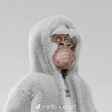 康佑视频头像
