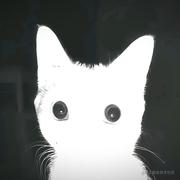 TUBY的个人资料头像