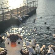 完美女人yyyy的个人资料头像