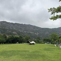 5756729077452新手头像